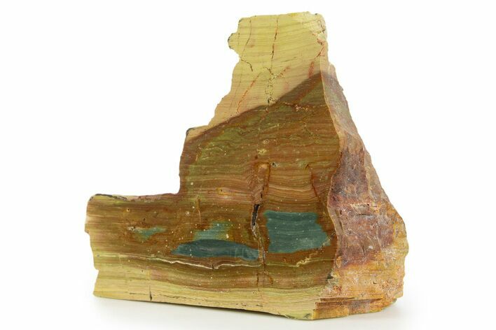 Free-Standing, Gary Green Jasper (Larsonite) Bog Wood - Oregon #334832